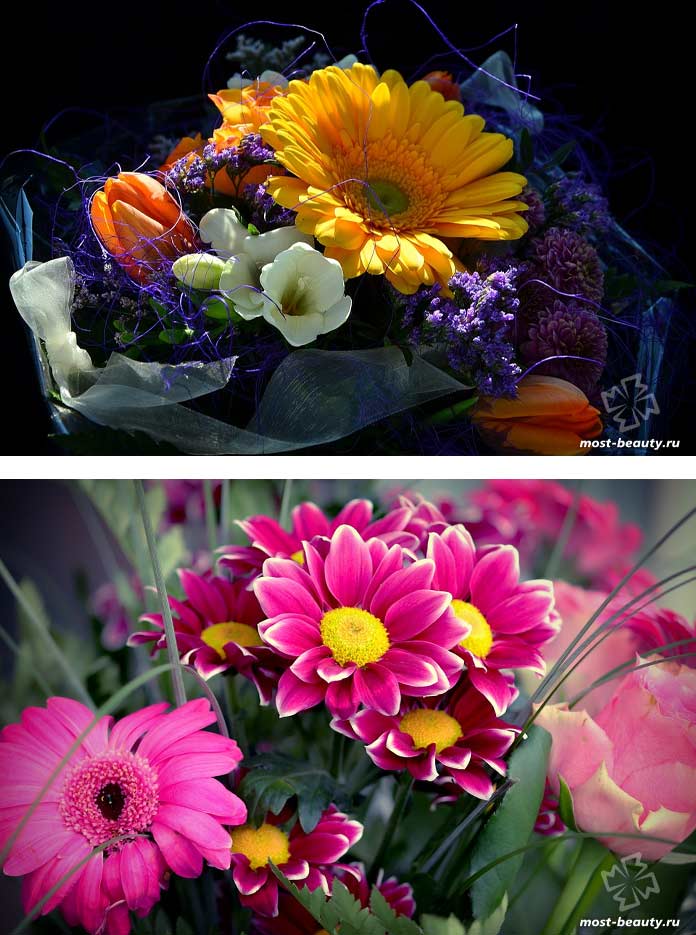 Букеты цветов. CC0