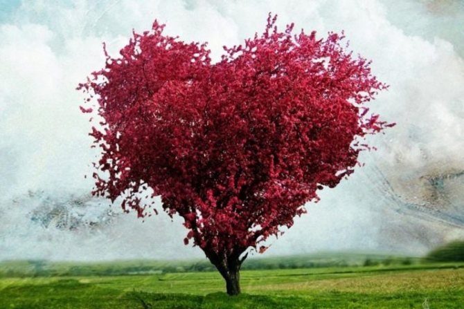 Годовщина свадьбы 27 лет, какая это свадьба