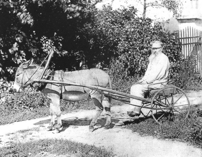 интересные факты из жизни фета - возвращение дворянского титула