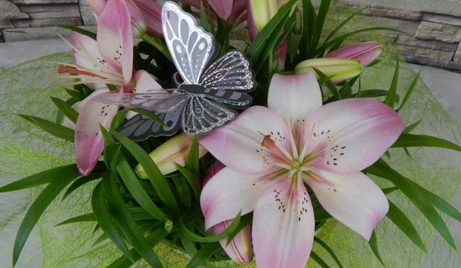 Как сохранить лилии