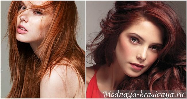 каштановый цвет волос