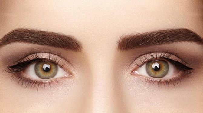 Красивые густые брови