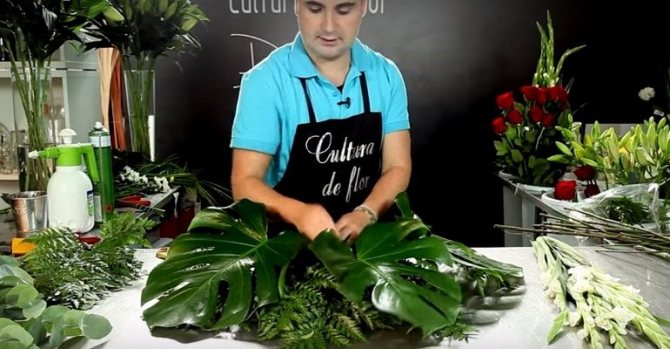 Листья монстеры для букета