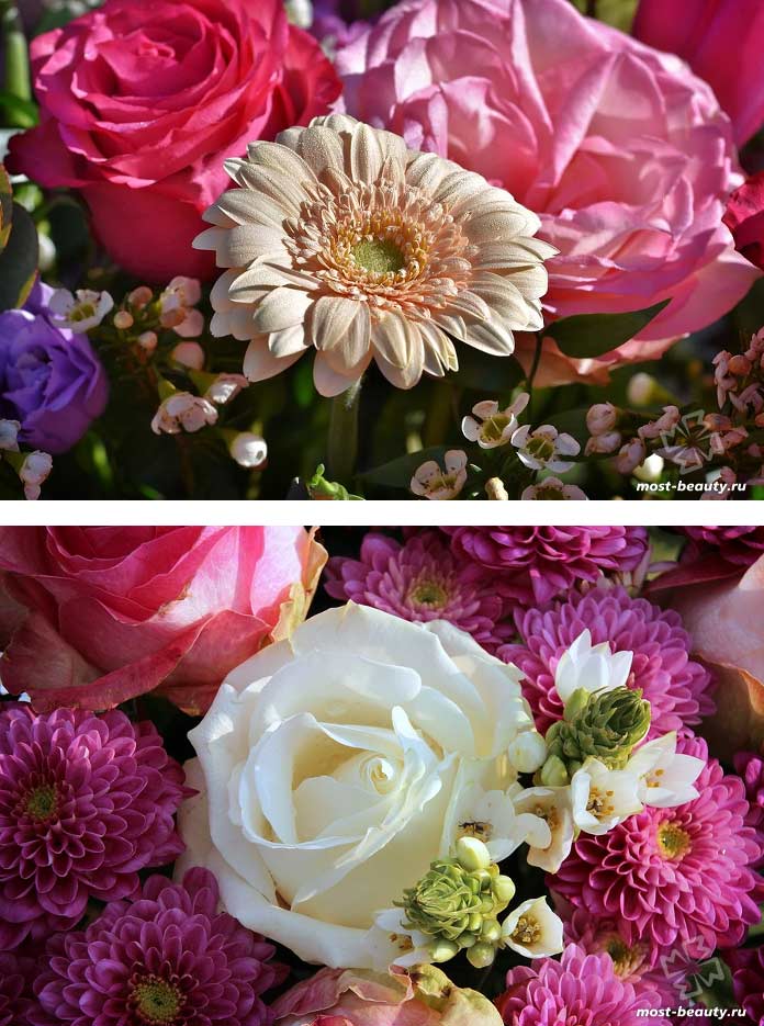 Очень красивые букеты цветов. CC0