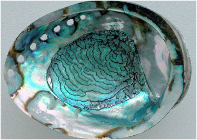 Перламутр – символ сорок второй годовщины свадьбы