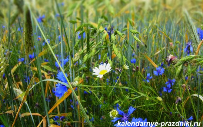 праздники августа 2020