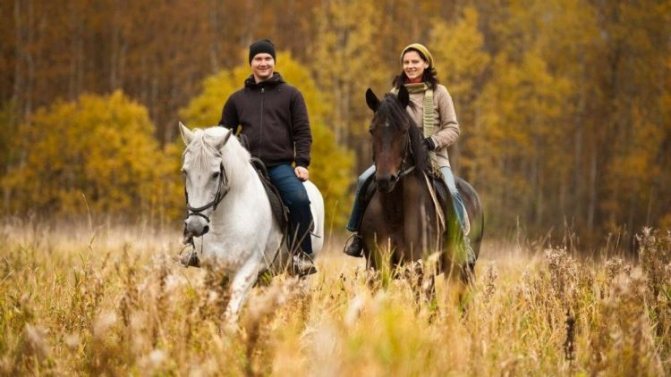 Прогулка на лошадях