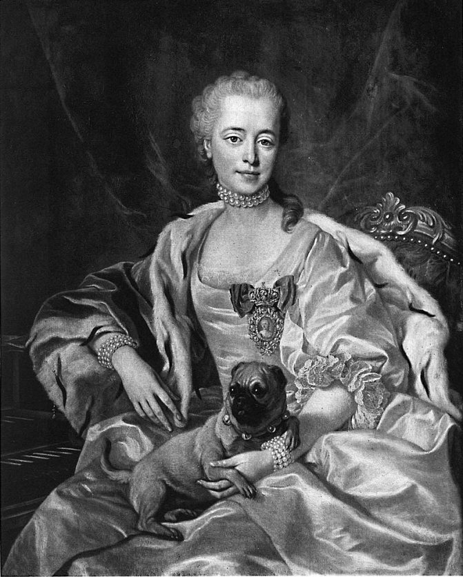 RusPortraits В2-027 Ла принцессы Екатерины Dmitriewna Golitzyne.jpg