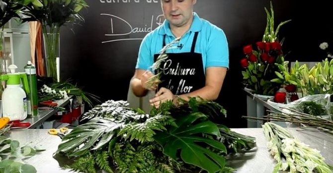 Третий уровень из папоротника