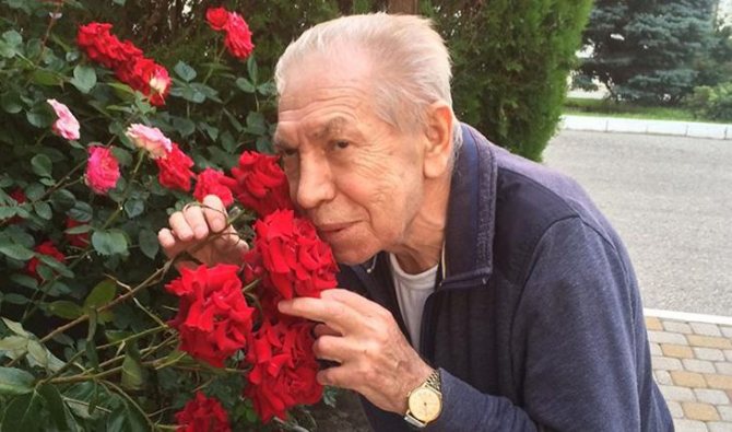 Владимир Толоконников был страстным садоводом, разводившим розы